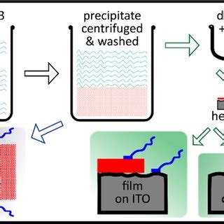 Synthesis, processing, and characterization of negative .